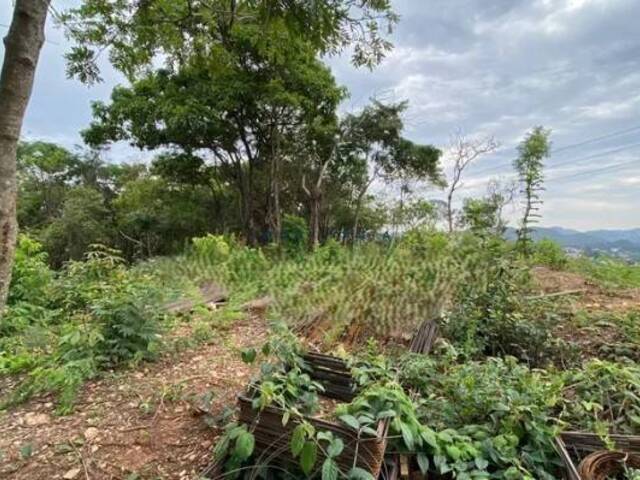 #130366 - Área para Venda em Nova Lima - MG - 1